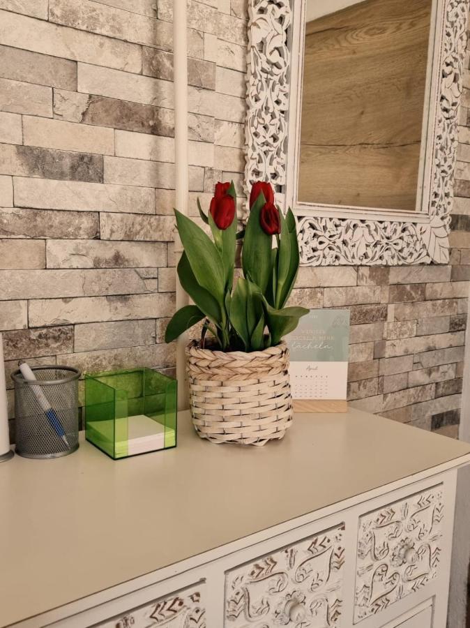 Ferienwohnung Gerersdorf Gerersdorf bei Güssing Exteriör bild