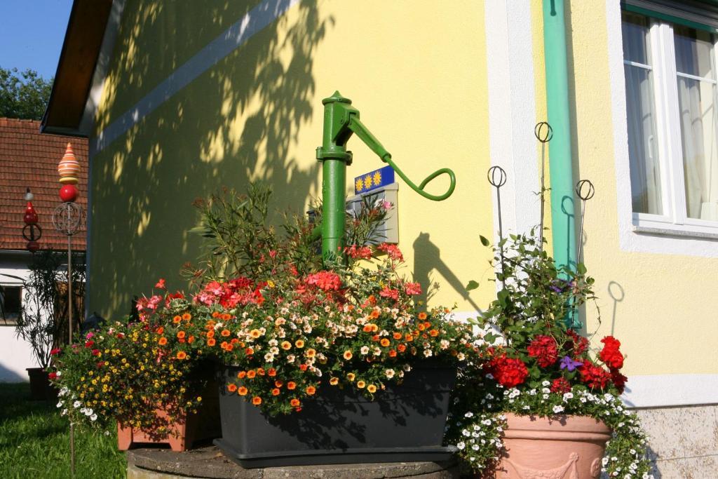 Ferienwohnung Gerersdorf Gerersdorf bei Güssing Exteriör bild